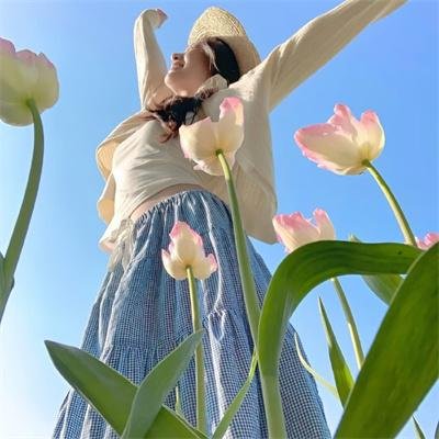 法内情大结局粤语